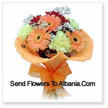 Cute Bunch Of 11 Gerberas Delivered in Albania